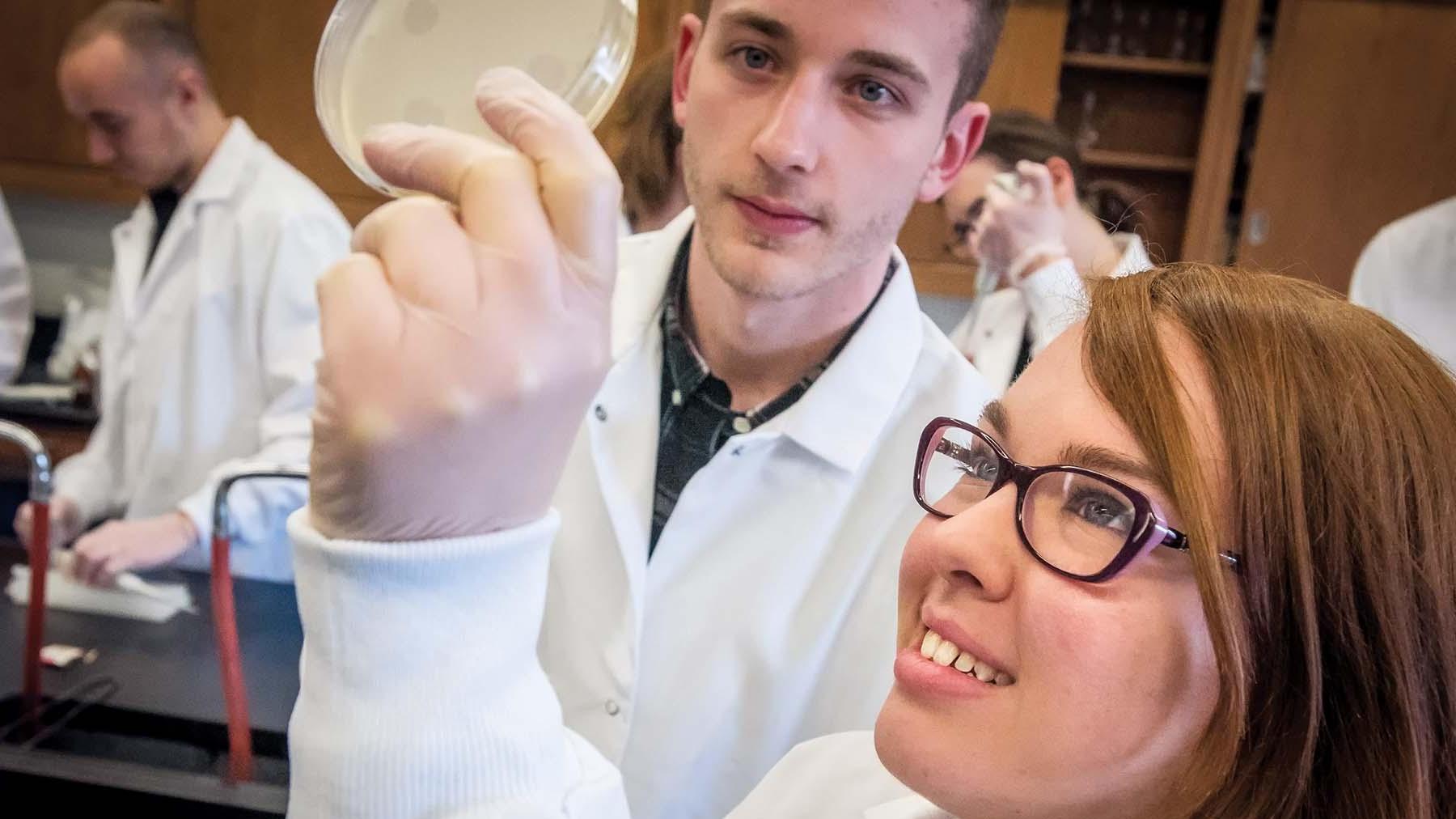 Two students in biology lab examining a petri dish